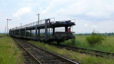 tfg5